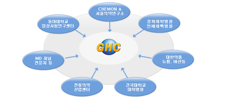 (주)글로벌헬스케어의 컨설팅역량
